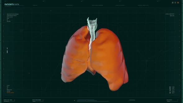 Detailed Analysis Of Medical Data In Computer Software To Make Covid-19 Diagnose alt
