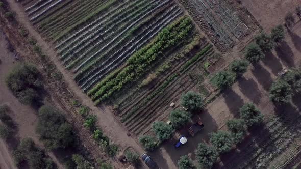 The camera is showing a land from the top angle