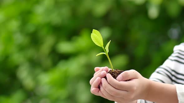 Happy Asian Child Holding Young Plant In Hands With Nature Background