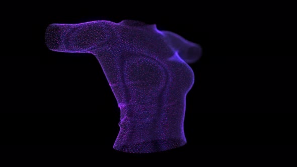 Beautiful Torso Woman Pose alt