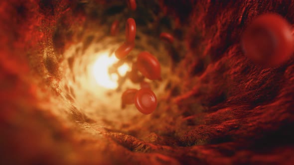 Red Blood Cells Travelling Through a Blood Vessel