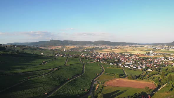 Countryside landscape with mountain valley and green grape vineyards