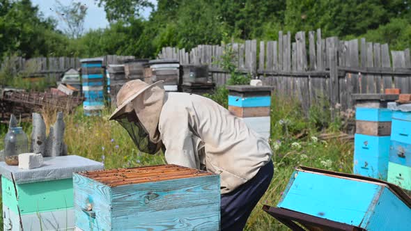 Man Works with Beehive on a Family Eco Business Producing Natural Honey