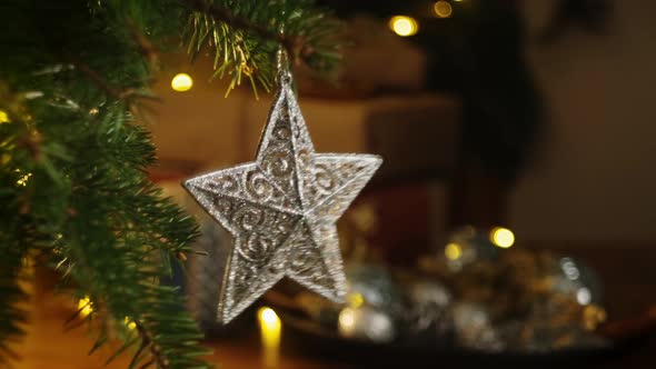 Christmas Silver Star on Tree Branch at Home