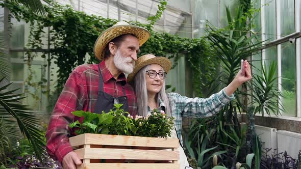 Mature Couple which Making Photos During Joint Work in Beautiful Greenhouse