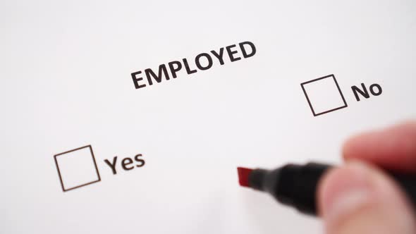A hand puts a check mark next to YES on white paper under the word EMPLOYED in the checklist