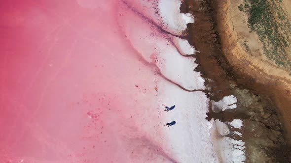 Drone View of Colorful Pink Lake with Wide White Salt Coast