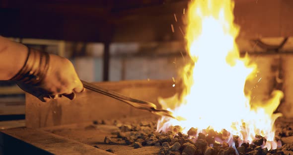 Blacksmith Holds a Horseshoe and Heats It in the Fire