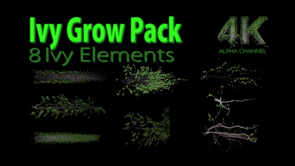 Ivy Grow Pack