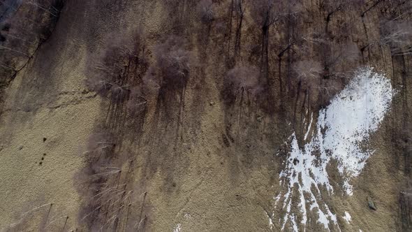 Moving Forward Overhead Over Bare Fall Woods Forest and Snow Mountain in Autumn or Winter Day