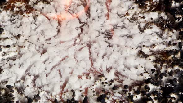 Sugar on fire and burning towards the center alt