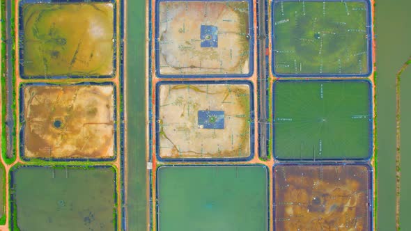 An aerial view over a drone flying over a large shrimp farm