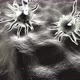 Microscopic view on Viruses infecting the human Body - VideoHive Item for Sale