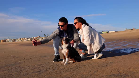 Couple walking their dog on the beach