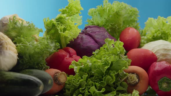 Fresh Vegetables Just Picked From Garden Bed with Water Drops on the Blue Background Agriculture