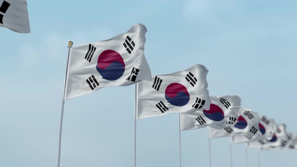 Korea South Row Of Flags 