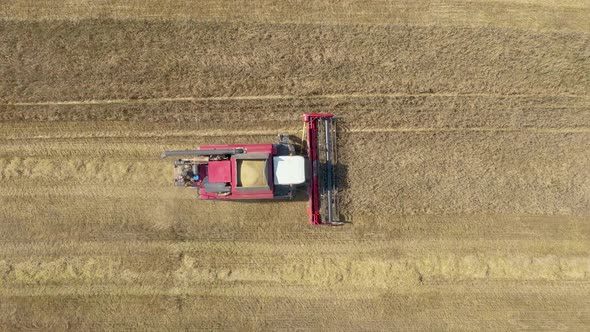 Farm Harvester Collects Ripe Wheat Ears Of Grain In Rural Field Aerial Top View