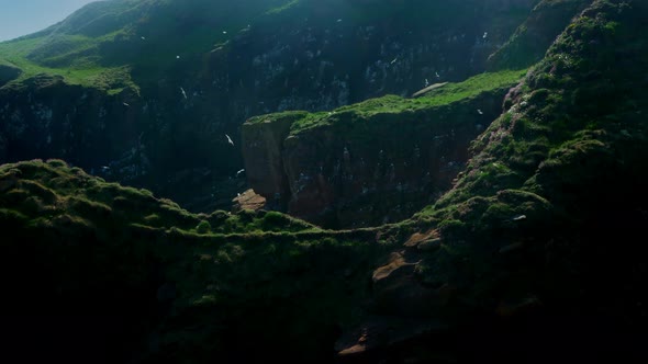 Shooting a Deep Rocky Ravine with Flying Seabirds in Scotland