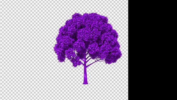 Purple Growing Tree