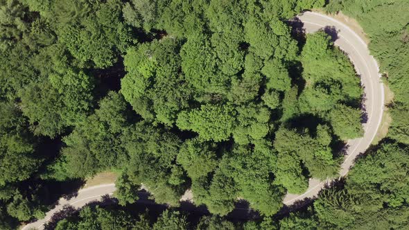 Top down shot at a driving black car through a curve framed by green tress at summertime