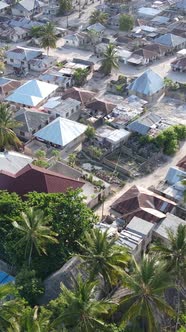 Zanzibar Tanzania  Aerial View of Houses Near the Coast Vertical Video