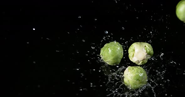 Brussels Sprouts, brassica oleracea, Vegetable falling into Water against Black Background