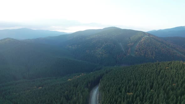 Magnifical Mountains with Deep Forest Tree Landscape and Curved Road