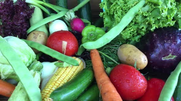 Table Full Of Vegetables Pan