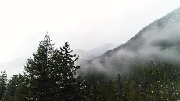 Cloud Forest Fog Aerial Rise Above Treetops White Sky