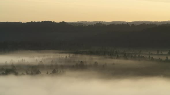 Aerial view of fog in the forest, Pupplinger Au, Germany