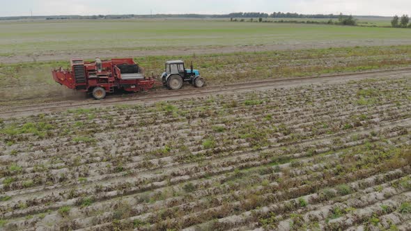 Harvesting of Root Crops Trailed Potato Harvester with Sorter on Board