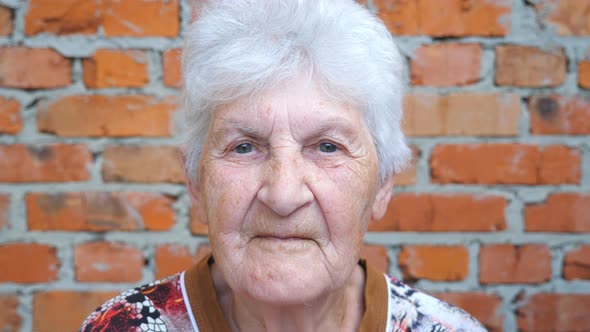 Portrait of Elderly Woman with Gray Hair Looking Into Camera