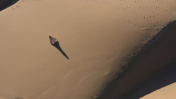 Drone Of Woman In Dress On Beach