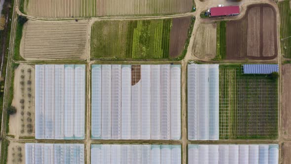 Greenhouse construction for agriculture