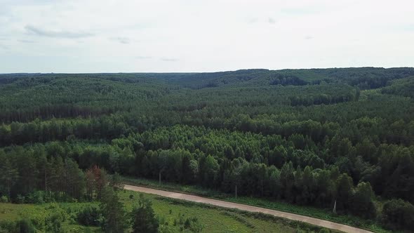 Trees in Forest Aerial