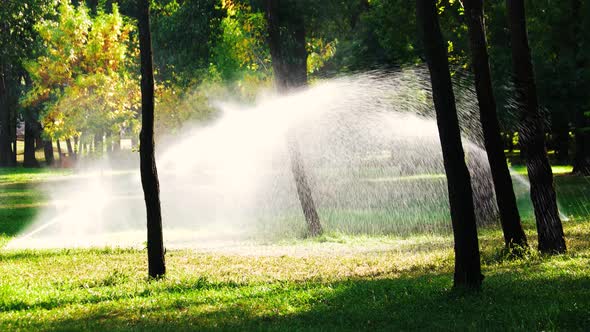 Water Sprinkling on the Lawn.