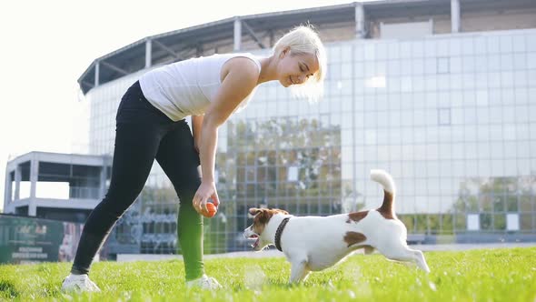 Young Woman Training Little Cute Jack Russel Terrier in Park Slow Motion