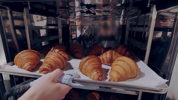 Baker Takes Freshly Baked Almond Filled Croissants Out of the Oven