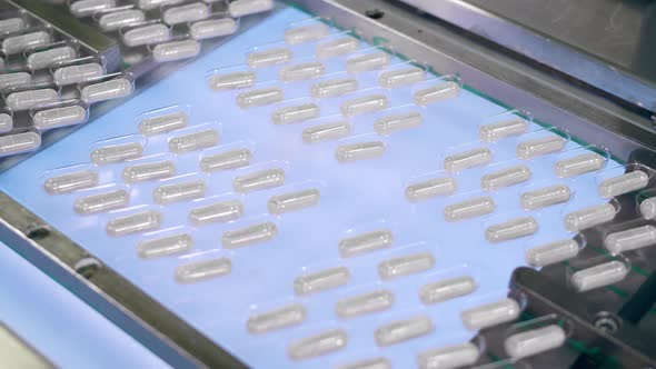 Conveyor Belt is Relocating Capsule Pills in Blisters