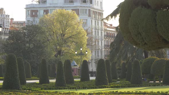 Park in the city