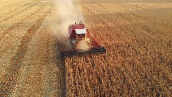 Aerial View  Combine Harvester Agriculture Machine Harvesting Golden Ripe Wheat Field