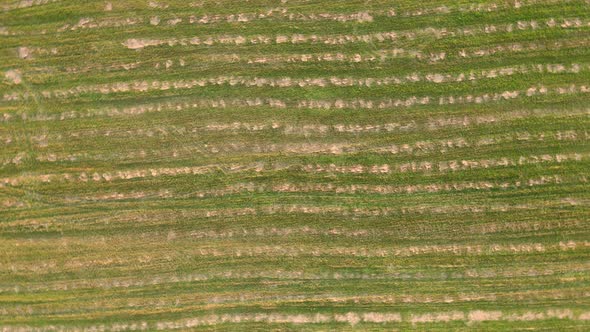 Space Panoramic View with a Drone on an Abstract Linear Pattern in the Field