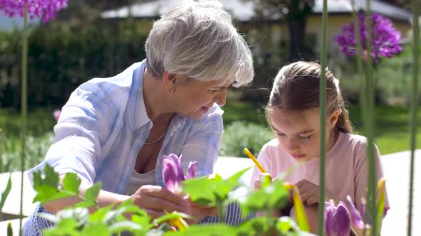 Grandmother and Girl Study Flowers at Garden 6