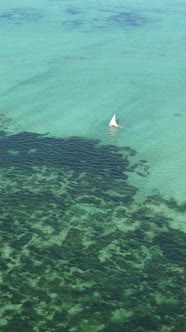 Vertical Video Boats in the Ocean Near the Coast of Zanzibar Tanzania