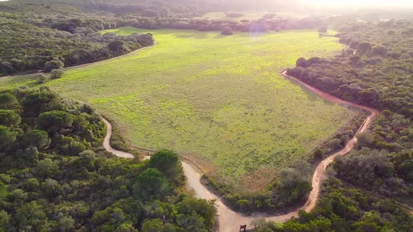 Golden Hour View Over Beautiful Sunny Field