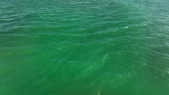 Aerial Simulation Over Green Ocean Water
