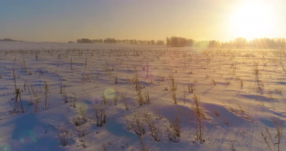Aerial Drone View of Cold Winter Landscape with Arctic Field Trees Covered with Frost Snow