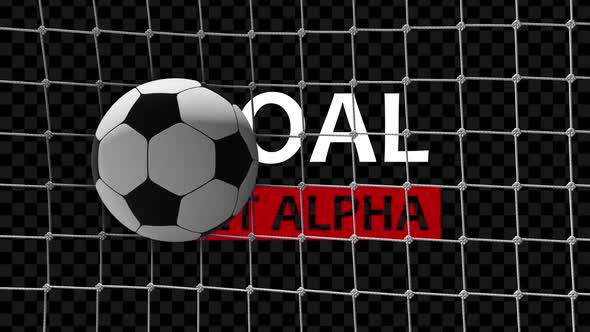 Goal Net Alpha