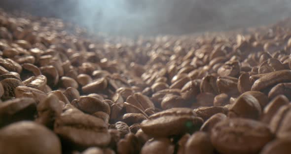 Close Up of Seeds of Coffee