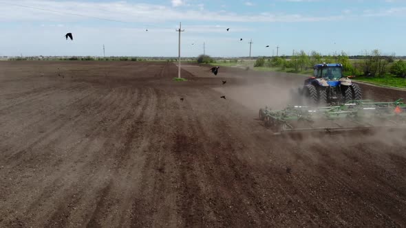 Birds Fly Over Tractor Harrowing Soil on Farmer Field